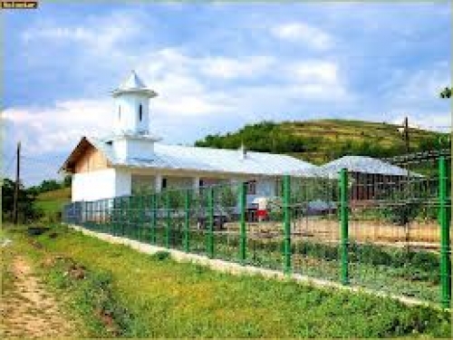Biserica Domneasca Din Busteni poza